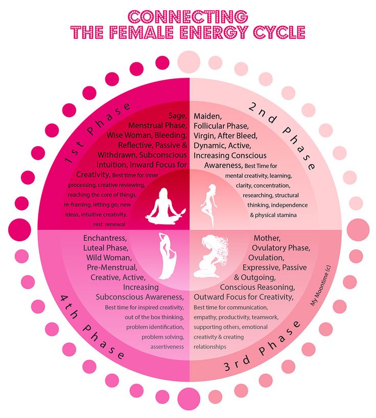 female menstrual cycle